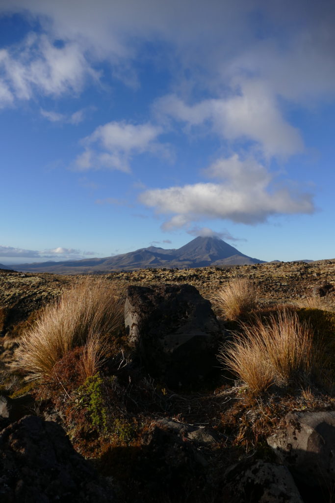 Ngauruhoe, viewed from a little lower down on Ruapehu's flank.