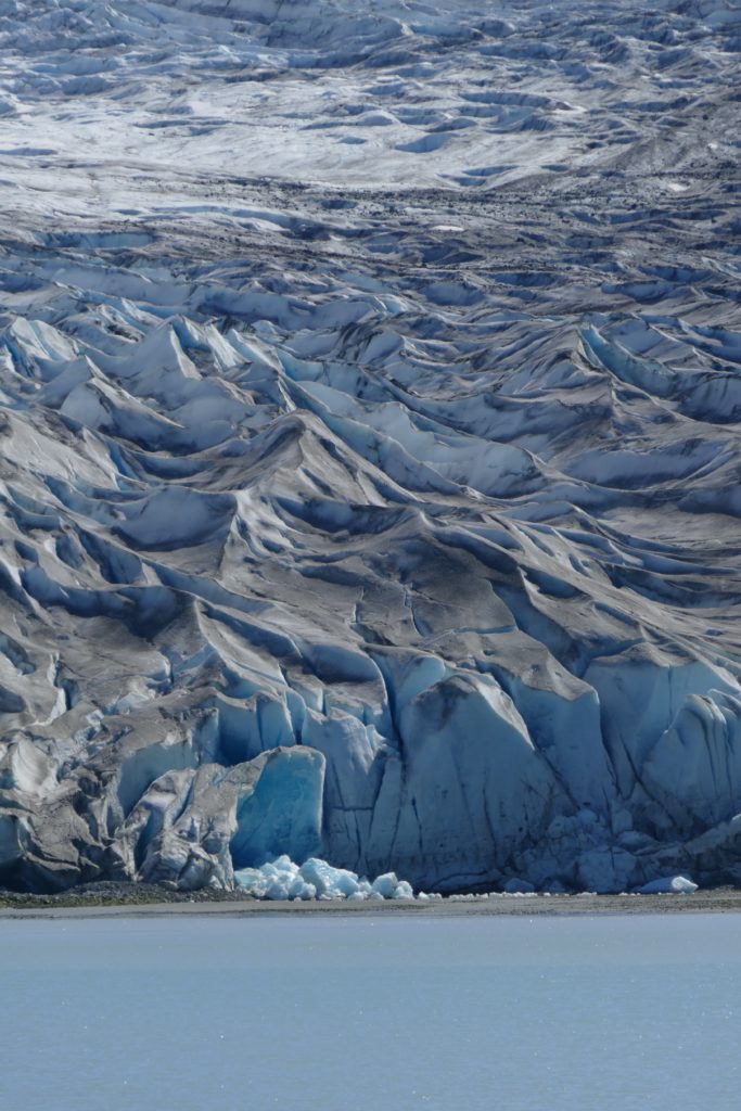 Reid Glacier snout (detail).