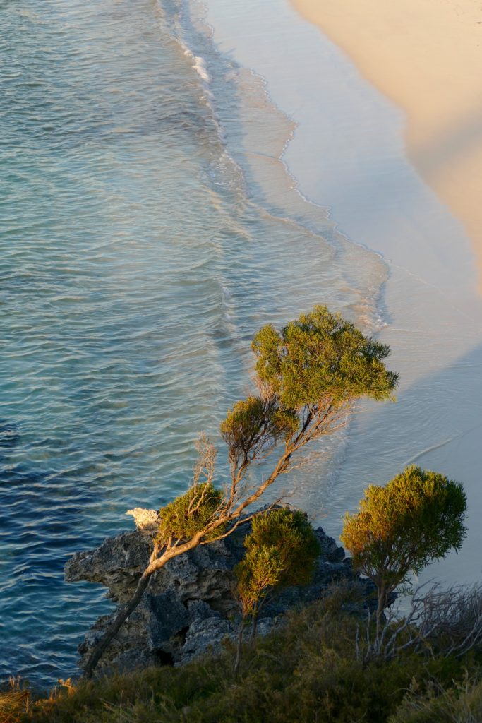 Shoreline, western end of Geordie Bay. All photos copyright Doug Spencer.