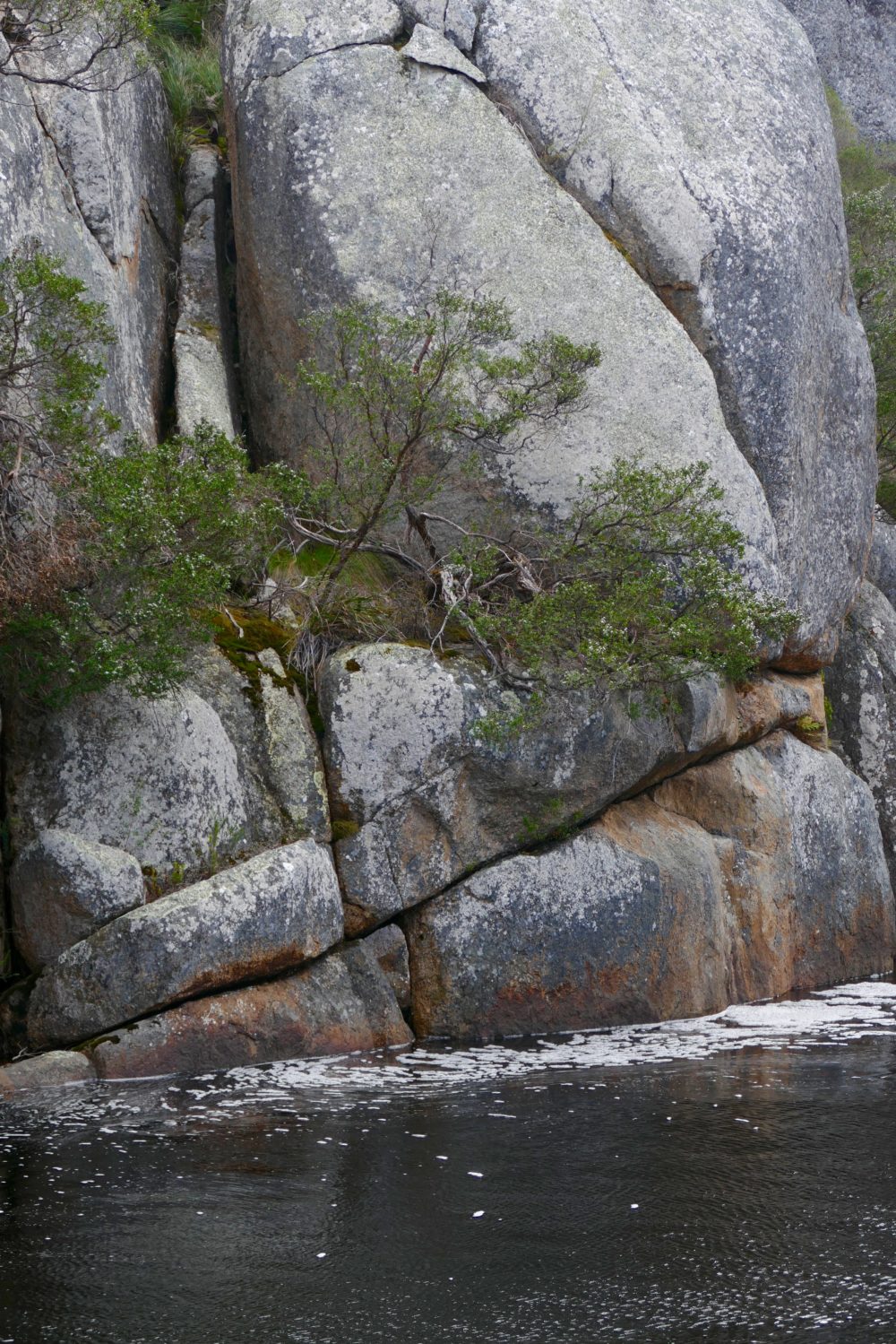 Waychinicup River, Spring 2016. All photos copyright Doug Spencer.