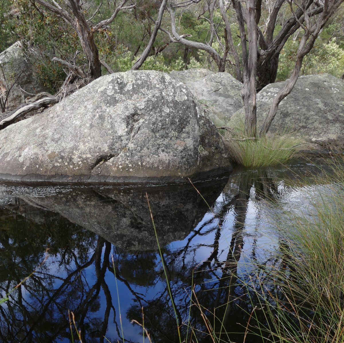 Waychinicup River, Spring 2016. All photos copyright Doug Spencer.