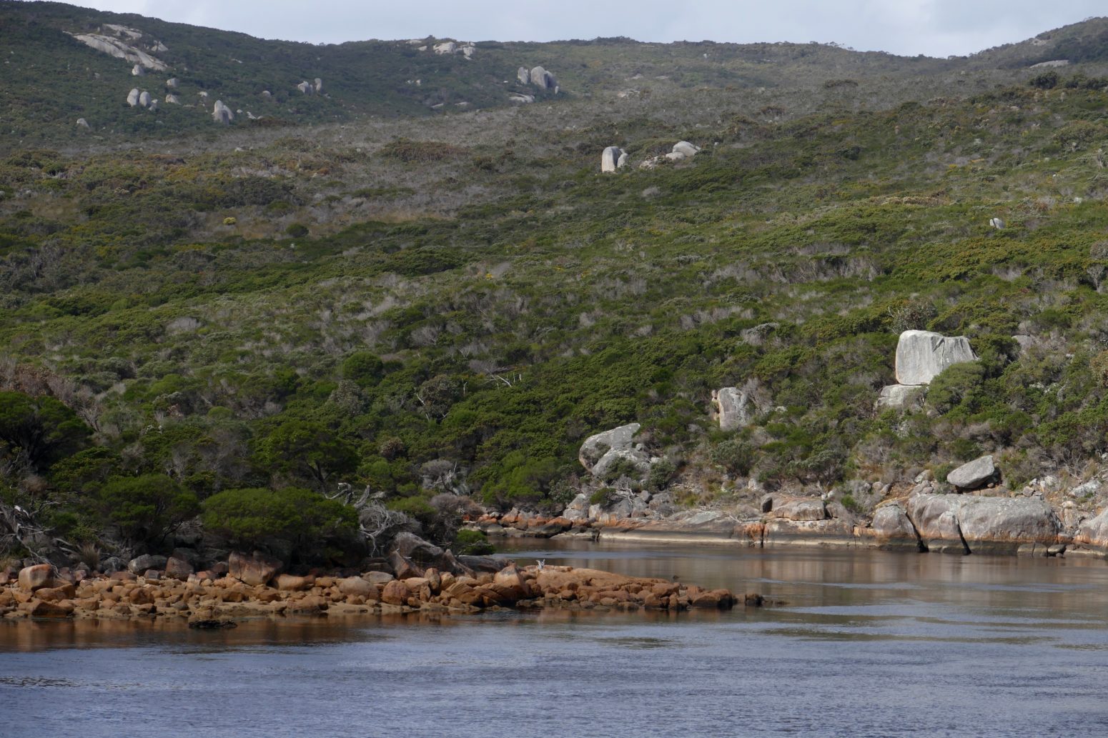 Same vantage point as previous 2 photos, but looking inland, toward where the river enters the inlet.