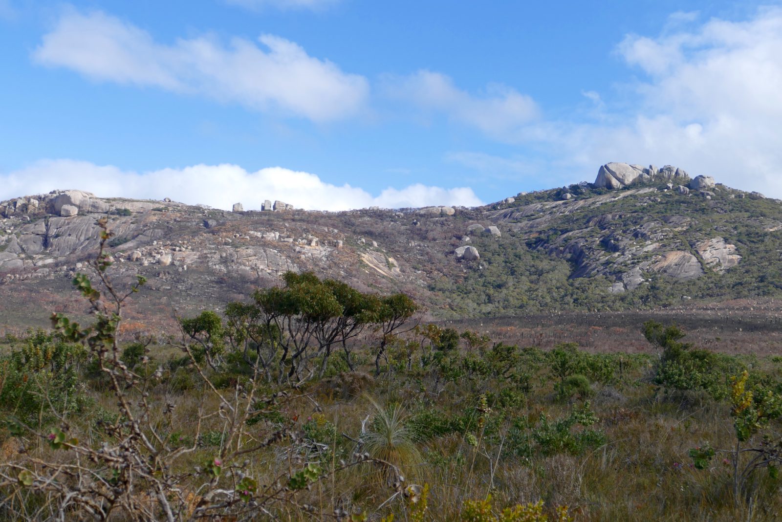 Waychinicup, Spring 2016, looking across to eastern flanks of Mount Manypeaks.
