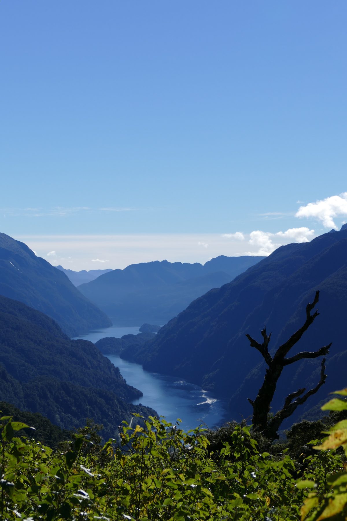 View into (just part of) Doubtful Sound from top of Wilmot Pass. All photos copyright Doug Spencer.