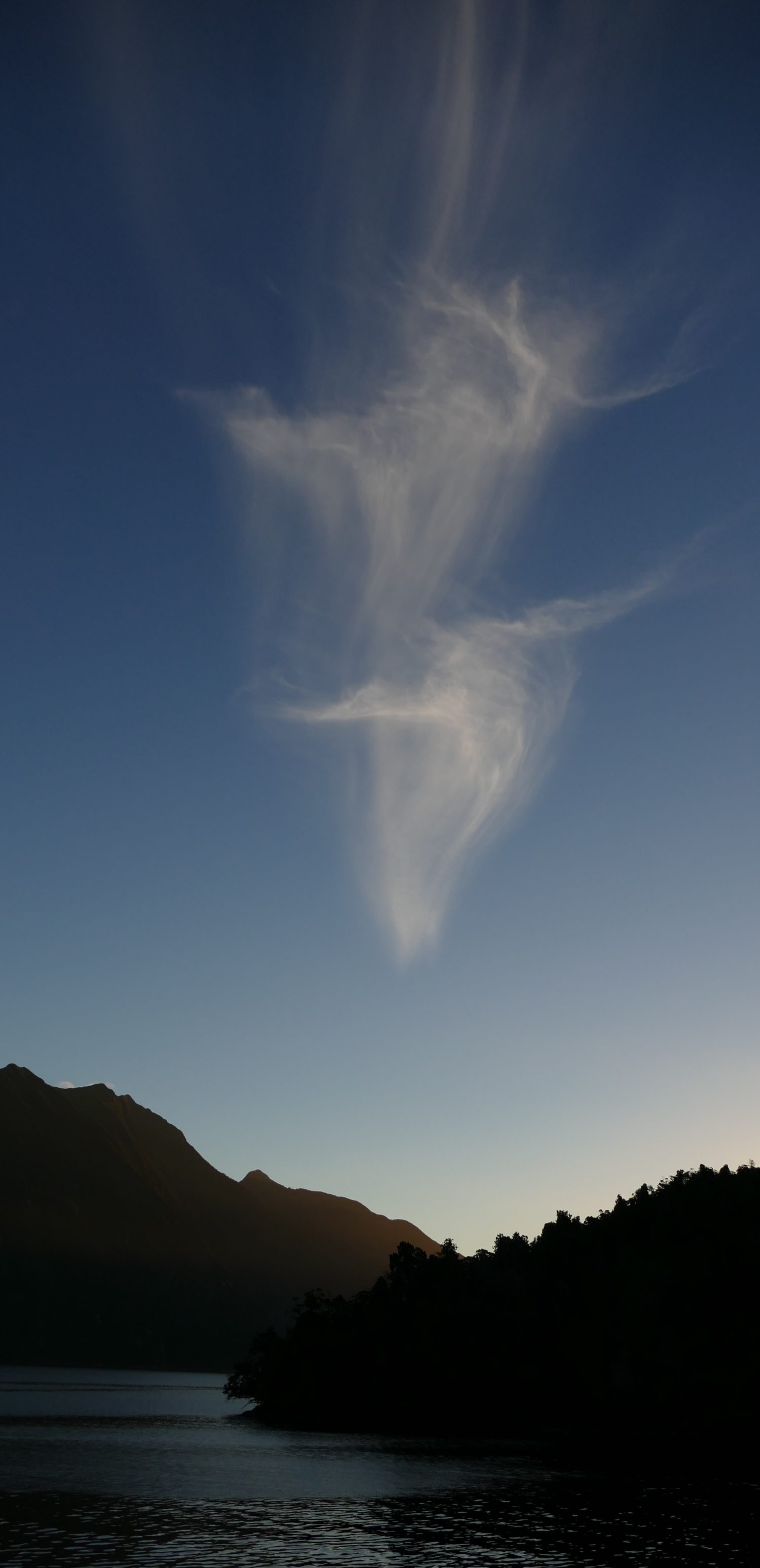 Late afternoon, April 22 2015, Doubtful Sound. All photos copyright Doug Spencer.