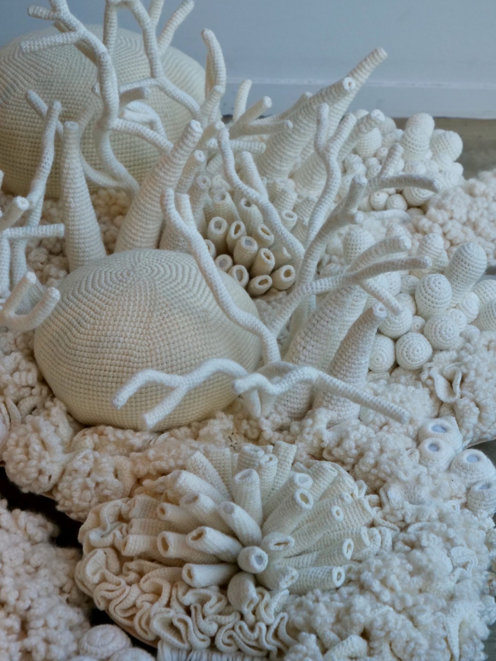 “Bleached” coral on floor