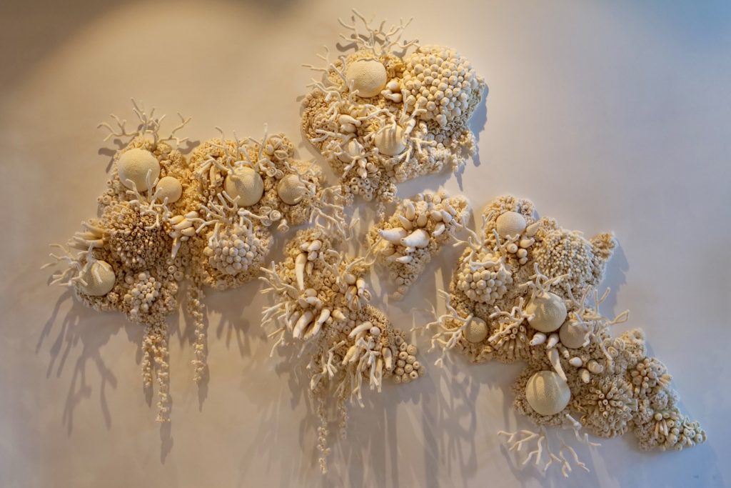 “Bleached corals, on wall