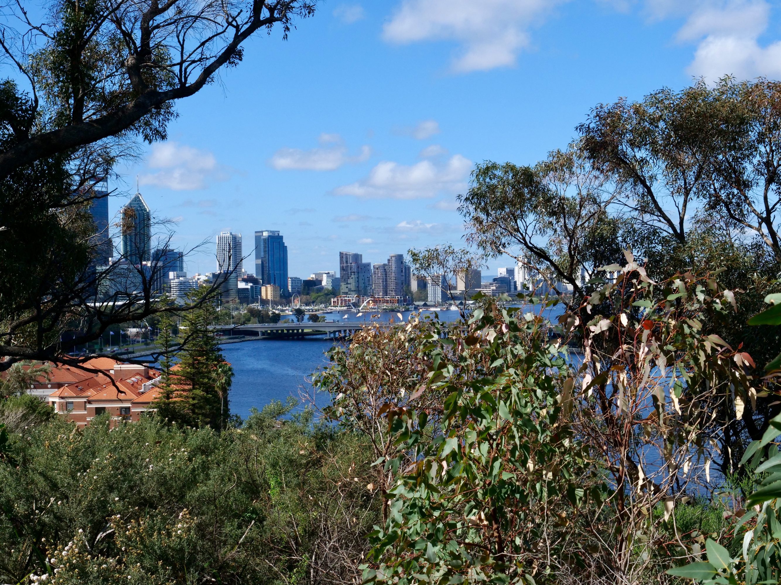 Perth skyline, from Kings Park